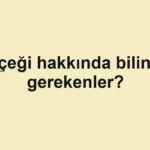 haber-gorseli-1790599156134